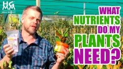 NPK fertiliser labels and nutrient deficiencies